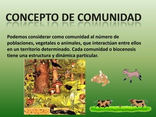 Podemos considerar como comunidad al número de
poblaciones, vegetales o animales, que interactúan entre ellos
en un territorio determinado. Cada comunidad o biocenosis
tiene una estructura y dinámica particular.
 
