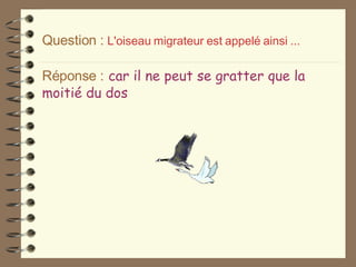Question :   L'oiseau   migrateur   est   appelé   ainsi   ...  Réponse :   car il ne peut se gratter que la moitié du dos 