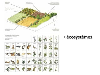 • écosystèmes
 