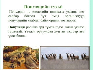 ПОПУЛЯЦИЙН ТУХАЙ
Популяци нь экологийн шинжлэх ухааны нэг
салбар бөгөөд бүх амьд организмууд
популяцийн хэлбэрт байж оршин тогтнодог.
Популяци populus ард түмэн гэдэг латин үгнээс
гаралтай. Үгчлэн орчуулбал хүн ам гэдгээр авч
үзэж болно.
 