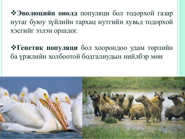 "Экологи байгаль хамгаалал" Хичээл-3