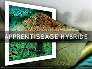 Photo	
  by	
  RuthArt	
  -­‐	
  Crea4ve	
  Commons	
  A7ribu4on	
  License	
  	
  h7p://www.ﬂickr.com/photos/8222833@N02

Created	
  with	
  Haiku	
  Deck

 