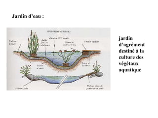 Jardin d’eau :
jardin
d’agrément
destiné à la
culture des
végétaux
aquatique
 