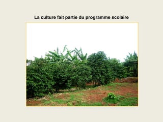La culture fait partie du programme scolaire
 
