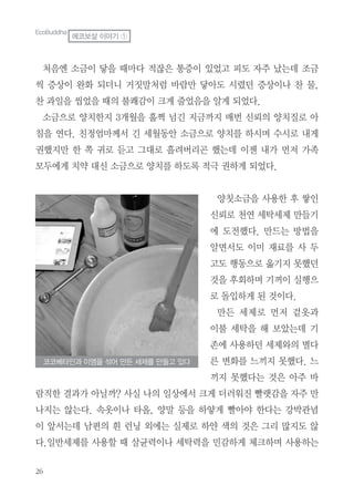 처음엔 소금이 닿을 때마다 적잖은 통증이 있었고 피도 자주 났는데 조금
씩 증상이 완화 되더니 거짓말처럼 바람만 닿아도 시렸던 증상이나 찬 물,
찬 과일을 씹었을 때의 불쾌감이 크게 줄었음을 알게 되었다.
소금으로 양치한지 3개월을 훌쩍 넘긴 지금까지 매번 신뢰의 양치질로 아
침을 연다. 친정엄마께서 긴 세월동안 소금으로 양치를 하시며 수시로 내게
권했지만 한 쪽 귀로 듣고 그대로 흘려버리곤 했는데 이젠 내가 먼저 가족
모두에게 치약 대신 소금으로 양치를 하도록 적극 권하게 되었다.
양칫소금을 사용한 후 쌓인
신뢰로 천연 세탁세제 만들기
에 도전했다. 만드는 방법을
알면서도 이미 재료를 사 두
고도 행동으로 옮기지 못했던
것을 후회하며 기꺼이 실행으
로 돌입하게 된 것이다.
만든 세제로 먼저 겉옷과
이불 세탁을 해 보았는데 기
존에 사용하던 세제와의 별다
른 변화를 느끼지 못했다. 느
끼지 못했다는 것은 아주 바
람직한 결과가 아닐까? 사실 나의 일상에서 크게 더러워진 빨랫감을 자주 만
나지는 않는다. 속옷이나 타올, 양말 등을 하얗게 빨아야 한다는 강박관념
이 앞서는데 남편의 흰 런닝 외에는 실제로 하얀 색의 것은 그리 많지도 않
다.일반세제를 사용할 때 살균력이나 세탁력을 민감하게 체크하며 사용하는
코코베타인과 이엠을 섞어 만든 세제를 만들고 있다
EcoBuddha
에코보살 이야기 ①
 