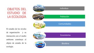 individuo
Población
Comunidades
Ecosistema
Biosfera
OBJETOS DEL
ESTUDIO DE
LA ECOLOGÍA
El estudio de los niveles
de organización y su
interacción con el medio
ambiente constituye el
objeto de estudio de la
ecología.
 