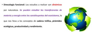 • Sinecología funcional: Los estudios a realizar son dinámicos
por naturaleza. Se pueden estudiar las transferencias de
materia y energía entre los constituyentes del ecosistema, lo
que nos lleva a los conceptos de cadena trófica, pirámides
ecológicas, productividad y rendimiento.
 
