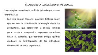 RELACIÓN DE LA ECOLOGÍA CON OTRAS CIENCIAS
La ecología es una ciencia multidisciplinaria que recurre
entre otras a:
• La Física porque todos los procesos bióticos tienen
que ver con la transferencia de energía, desde los
productores, que aprovechan la energía lumínica
para producir compuestos orgánicos complejos,
hasta las bacterias, que obtienen energía química
mediante la desintegración de las estructuras
moleculares de otros organismos.
 