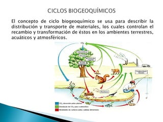 Ecológia wiki 1