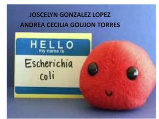 JOSCELYN GONZALEZ LOPEZ 
ANDREA CECILIA GOUJON TORRES 
 