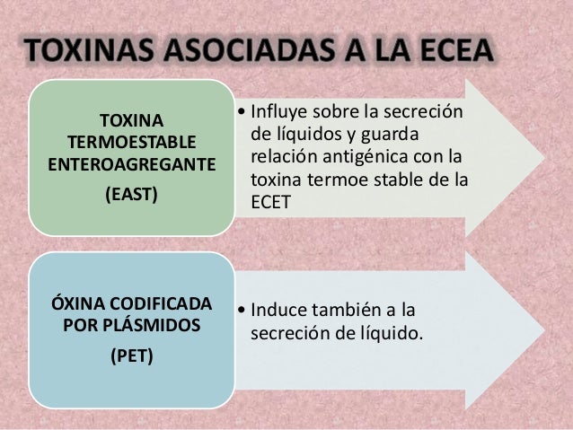 Y regulacion hormonal del metabolismo