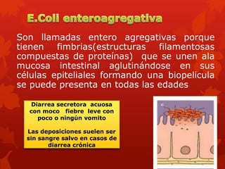 Son llamadas entero agregativas porque
tienen fimbrias(estructuras filamentosas
compuestas de proteínas) que se unen ala
mucosa intestinal aglutinándose en sus
células epiteliales formando una biopelicula
se puede presenta en todas las edades
Diarrea secretora acuosa
con moco fiebre leve con
poco o ningún vomito
Las deposiciones suelen ser
sin sangre salvo en casos de
diarrea crónica
 