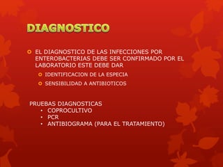  EL DIAGNOSTICO DE LAS INFECCIONES POR
ENTEROBACTERIAS DEBE SER CONFIRMADO POR EL
LABORATORIO ESTE DEBE DAR
 IDENTIFICACION DE LA ESPECIA
 SENSIBILIDAD A ANTIBIOTICOS
PRUEBAS DIAGNOSTICAS
• COPROCULTIVO
• PCR
• ANTIBIOGRAMA (PARA EL TRATAMIENTO)
 