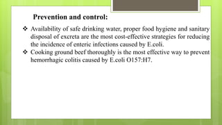 E coli | PPTX