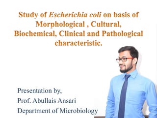 Presentation by,
Prof. Abullais Ansari
Department of Microbiology
 