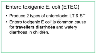 • Produce 2 types of enterotoxin: LT & ST
• Entero toxigenic E coli is common cause
for travellers diarrhoea and watery
diarrhoea in children.
Entero toxigenic E. coli (ETEC)
 