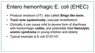 Entero hemorrhagic E. coli (EHEC)
• Produce verotoxin (VT) also called Shiga like toxin.
• Toxin acts systemically- vascular endothelium
• Clinically it can cause mild to severe form of diarrhoea
with hemorrhagic colitis, and potentially fatal Hemolytic
uremic syndrome in young children and elderly
• Typical example is E coli O157:H7,
 