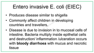 Entero invasive E. coli (EIEC)
• Produces disease similar to shigella
• Commonly affect children in developing
countries and travellers.
• Disease is due to invasion in to mucosal cells of
intestine. Bacteria multiply inside epithelial cells
and destruction/ inflammation /ulceration occurs
with bloody diarrhoea with mucus and necrotic
tissue
 