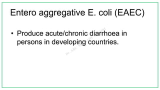 Entero aggregative E. coli (EAEC)
• Produce acute/chronic diarrhoea in
persons in developing countries.
 