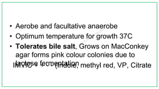 • Aerobe and facultative anaerobe
• Optimum temperature for growth 37C
• Tolerates bile salt, Grows on MacConkey
agar forms pink colour colonies due to
lactose fermentation
IMViC + + - - (Indole, methyl red, VP, Citrate
 