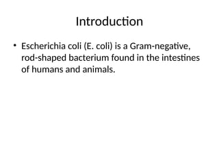 E_coli_Bacteria_Presentation.pptx................ | PPTX