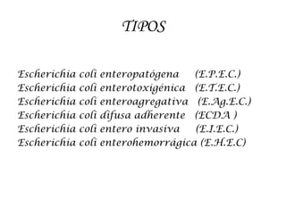 TIPOS
Escherichia coli enteropatógena (E.P.E.C.)
Escherichia coli enterotoxigénica (E.T.E.C.)
Escherichia coli enteroagregativa (E.Ag.E.C.)
Escherichia coli difusa adherente (ECDA )
Escherichia coli entero invasiva (E.I.E.C.)
Escherichia coli enterohemorrágica (E.H.E.C)
 