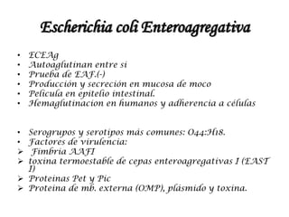 Escherichia coli Enteroagregativa
• ECEAg
• Autoaglutinan entre si
• Prueba de EAF.(-)
• Producción y secreción en mucosa de moco
• Película en epitelio intestinal.
• Hemaglutinacion en humanos y adherencia a células
• Serogrupos y serotipos más comunes: O44:H18.
• Factores de virulencia:
 Fimbria AAFI
 toxina termoestable de cepas enteroagregativas I (EAST
I)
 Proteinas Pet y Pic
 Proteina de mb. externa (OMP), plásmido y toxina.
 