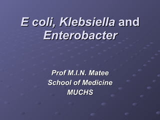 E coli, Klebsiella  and  Enterobacter Prof M.I.N. Matee School of Medicine MUCHS 