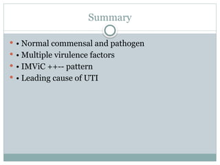 Comprehensive Overview of Escherichia coli: Pathogenesis, Diagnosis ...