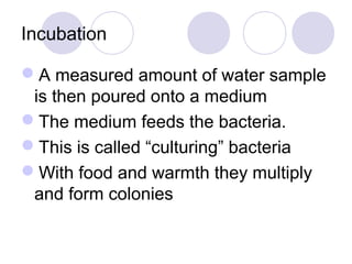 Incubation

A measured amount of water sample
 is then poured onto a medium
The medium feeds the bacteria.
This is called “culturing” bacteria
With food and warmth they multiply
 and form colonies
 