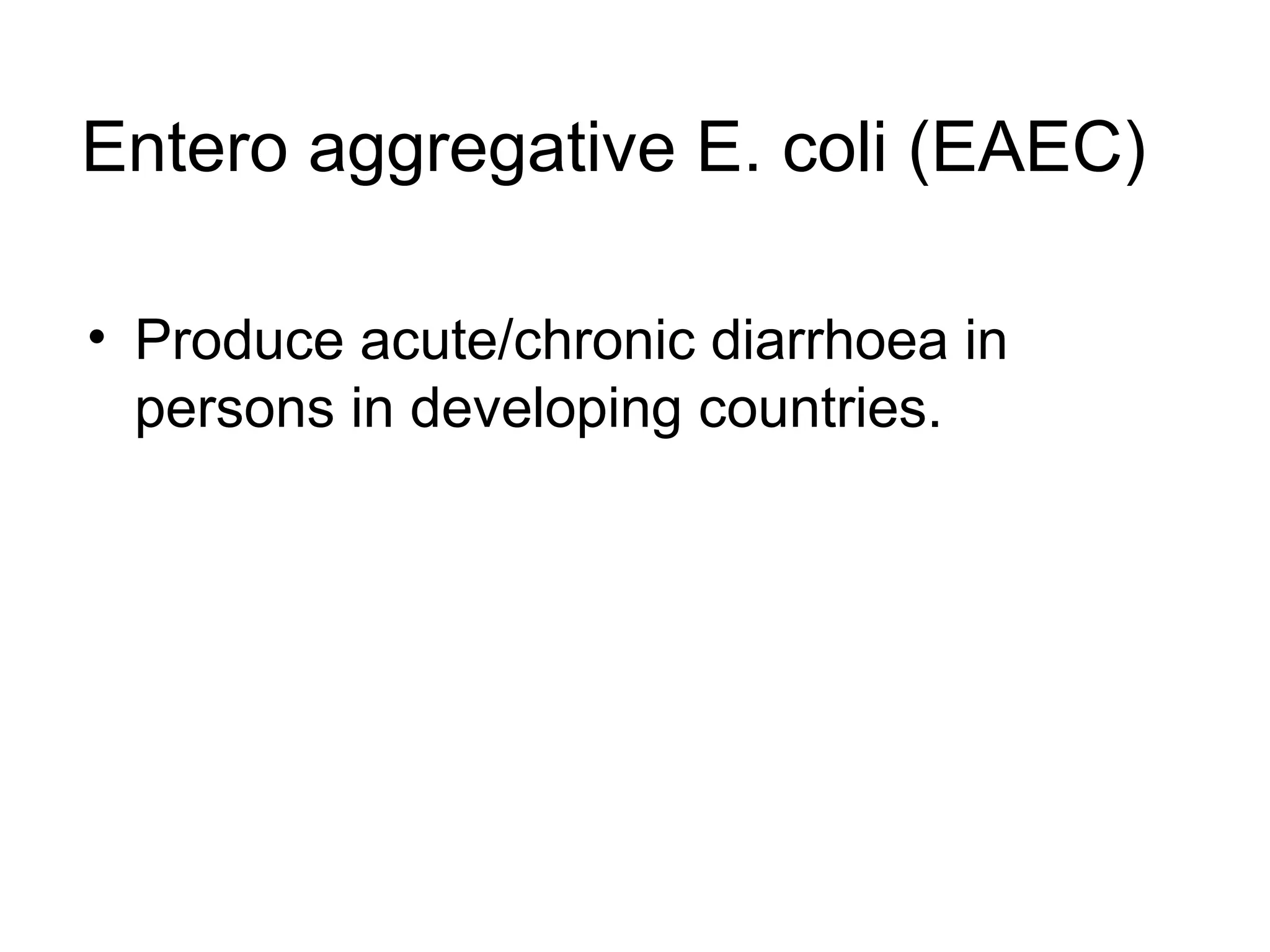 Entero aggregative E. coli (EAEC)
• Produce acute/chronic diarrhoea in
persons in developing countries.
 