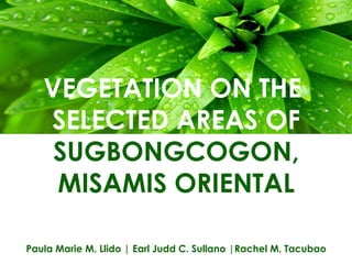 VEGETATION ON THE
SELECTED AREAS OF
SUGBONGCOGON,
MISAMIS ORIENTAL
Paula Marie M. Llido | Earl Judd C. Sullano |Rachel M. Tacubao
 