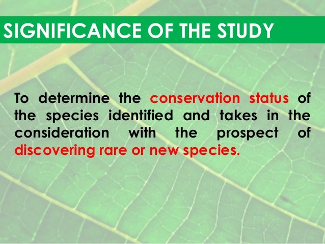 Ecology thesis proposal image