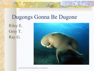 Dugongs Gonna Be Dugone ,[object Object],[object Object],[object Object],Image found via http://skydancingblog.com/tag/dugong/ 