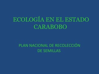 ECOLOGÍA EN EL ESTADO
     CARABOBO

 PLAN NACIONAL DE RECOLECCIÓN
         DE SEMILLAS
 
