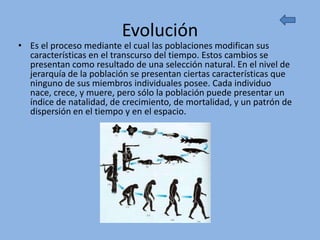 Evolución
• Es el proceso mediante el cual las poblaciones modifican sus
  características en el transcurso del tiempo. Estos cambios se
  presentan como resultado de una selección natural. En el nivel de
  jerarquía de la población se presentan ciertas características que
  ninguno de sus miembros individuales posee. Cada individuo
  nace, crece, y muere, pero sólo la población puede presentar un
  índice de natalidad, de crecimiento, de mortalidad, y un patrón de
  dispersión en el tiempo y en el espacio.
 