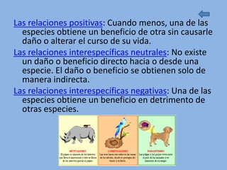 Las relaciones positivas: Cuando menos, una de las
  especies obtiene un beneficio de otra sin causarle
  daño o alterar el curso de su vida.
Las relaciones interespecíficas neutrales: No existe
  un daño o beneficio directo hacia o desde una
  especie. El daño o beneficio se obtienen solo de
  manera indirecta.
Las relaciones interespecíficas negativas: Una de las
  especies obtiene un beneficio en detrimento de
  otras especies.
 