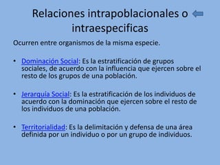 Relaciones intrapoblacionales o
              intraespecificas
Ocurren entre organismos de la misma especie.

• Dominación Social: Es la estratificación de grupos
  sociales, de acuerdo con la influencia que ejercen sobre el
  resto de los grupos de una población.

• Jerarquía Social: Es la estratificación de los individuos de
  acuerdo con la dominación que ejercen sobre el resto de
  los individuos de una población.

• Territorialidad: Es la delimitación y defensa de una área
  definida por un individuo o por un grupo de individuos.
 