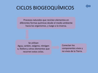 CICLOS BIOGEOQUÍMICOS

      Procesos naturales que reciclan elementos en
  diferentes formas químicas desde el medio ambiente
        hacia los organismos, y luego a la inversa.




            Se utilizan
Agua, carbón, oxígeno, nitrógen          Conectan los
o, fósforo y otros elementos que         componentes vivos y
      recorren estos ciclos.             no vivos de la Tierra.
 