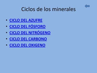 Ciclos de los minerales
•   CICLO DEL AZUFRE
•   CICLO DEL FÓSFORO
•   CICLO DEL NITRÓGENO
•   CICLO DEL CARBONO
•   CICLO DEL OXIGENO
 
