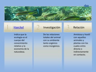 1   Haeckel          2   Investigación        3   Relación

    Indica que la        De las relaciones        Amistosa y hostil
    ecología es el       totales del animal       con aquellos
    cuerpo del           con su ambiente          animales y
    conocimiento         tanto orgánico           plantas con los
    relativo a la        como inorgánico.         cuales entra
    economía de la                                directa o
    naturaleza.                                   indirectamente
                                                  en contacto.
 