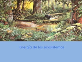 Energía de los ecosistemas
 