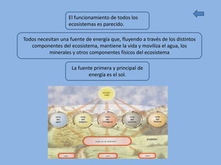 El funcionamiento de todos los
                    ecosistemas es parecido.

Todos necesitan una fuente de energía que, fluyendo a través de los distintos
   componentes del ecosistema, mantiene la vida y moviliza el agua, los
           minerales y otros componentes físicos del ecosistema

                     La fuente primera y principal de
                            energía es el sol.
 