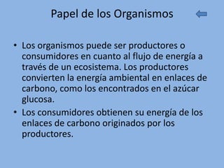 Papel de los Organismos

• Los organismos puede ser productores o
  consumidores en cuanto al flujo de energía a
  través de un ecosistema. Los productores
  convierten la energía ambiental en enlaces de
  carbono, como los encontrados en el azúcar
  glucosa.
• Los consumidores obtienen su energía de los
  enlaces de carbono originados por los
  productores.
 