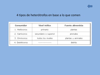 4 tipos de heterótrofos en base a lo que comen
 
