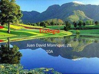 Ecología Juan David Manrique, 21. 10A 