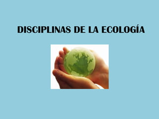 Ecosistema (las interacciones propias de la biocenosis sumadas a todos los flujos de materia y energía que tienen lugar en ella)