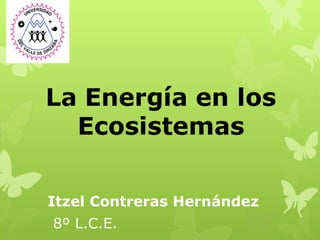 Itzel Contreras Hernández
8º L.C.E.
 