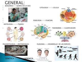     BIOQUIMICA--->QUIMICA DE LA VIDA
                                              CITOLOGIA----->CELULA






                                       FISIOLOGIA---->FUNCION

    HISTOLOGIA----->TEJIDOS

                                                            TAXONOMIA--> CLASIFICACION




PALEONTOLOGIA-->RESTOSFOSILES               FILOGENIA--->DESARROLLO DE LAS ESPECIES







     GENETICA -------->HERENCIA
 
