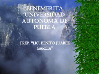 BENEMERITA UNIVERSIDAD AUTONOMA DE PUEBLA PREP. “LIC. BENITO JUAREZ GARCIA” 
